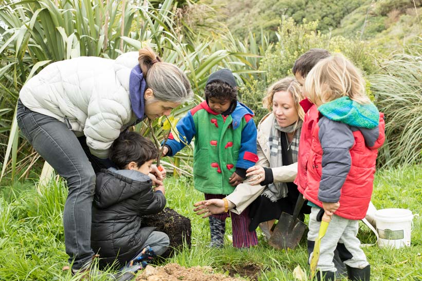 A kaiako, whānau and tamariki plant a seedling together.