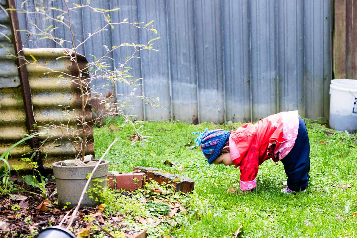 A child explores the grass in their backyard with their hands.