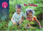 Book cover of Te Taiao