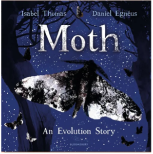 Book cover for Moth: An evolution story