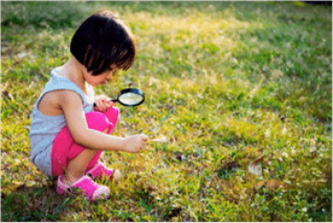 A child looking at a leaf through a magnifying glass.