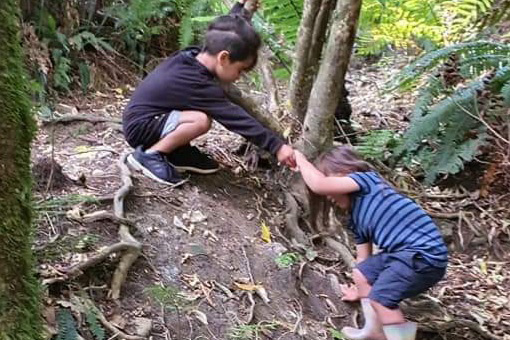 One tamariki helps another up a slope in the forest over tree roots.